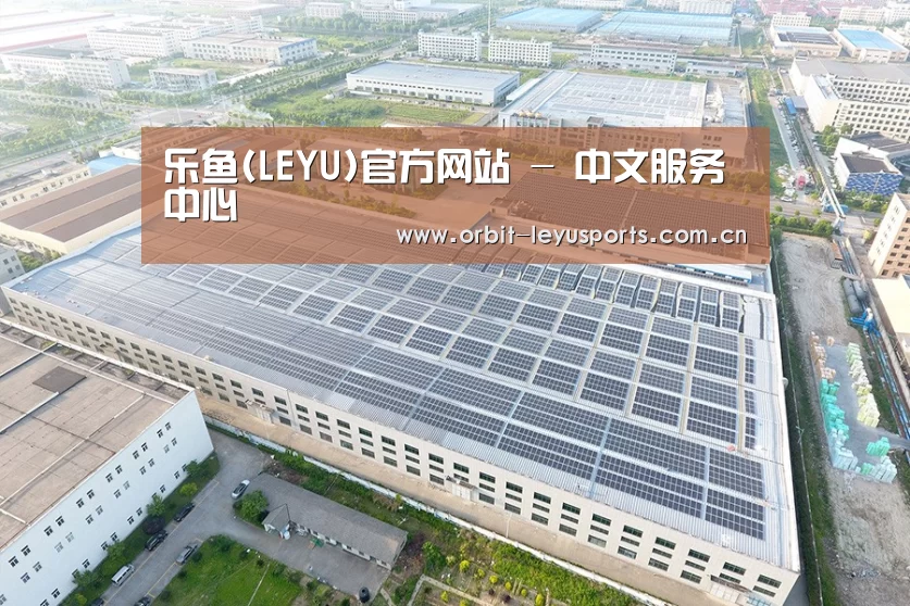 案例展示一