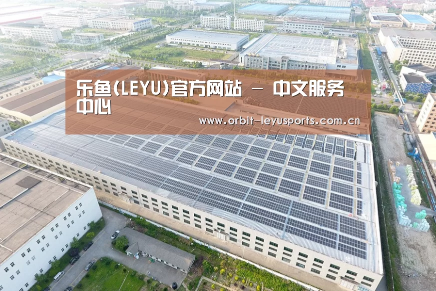 案例展示二