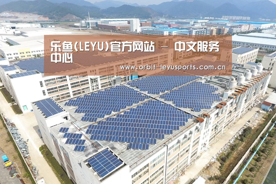案例展示一