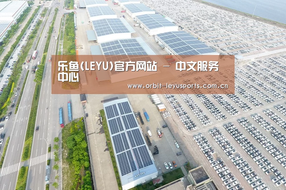 案例展示二