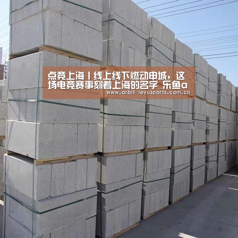 点竞上海丨线上线下燃动申城,这场电竞赛事刻着上海的名字_乐鱼app(图2) 乐鱼电竞