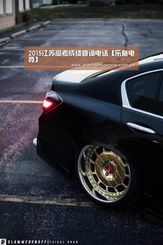 2015江苏高考成绩查询电话【乐鱼电竞】(图1) 乐鱼app