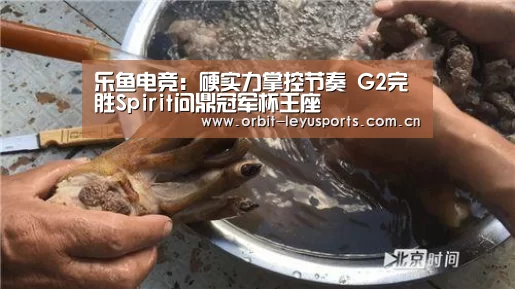 乐鱼电竞