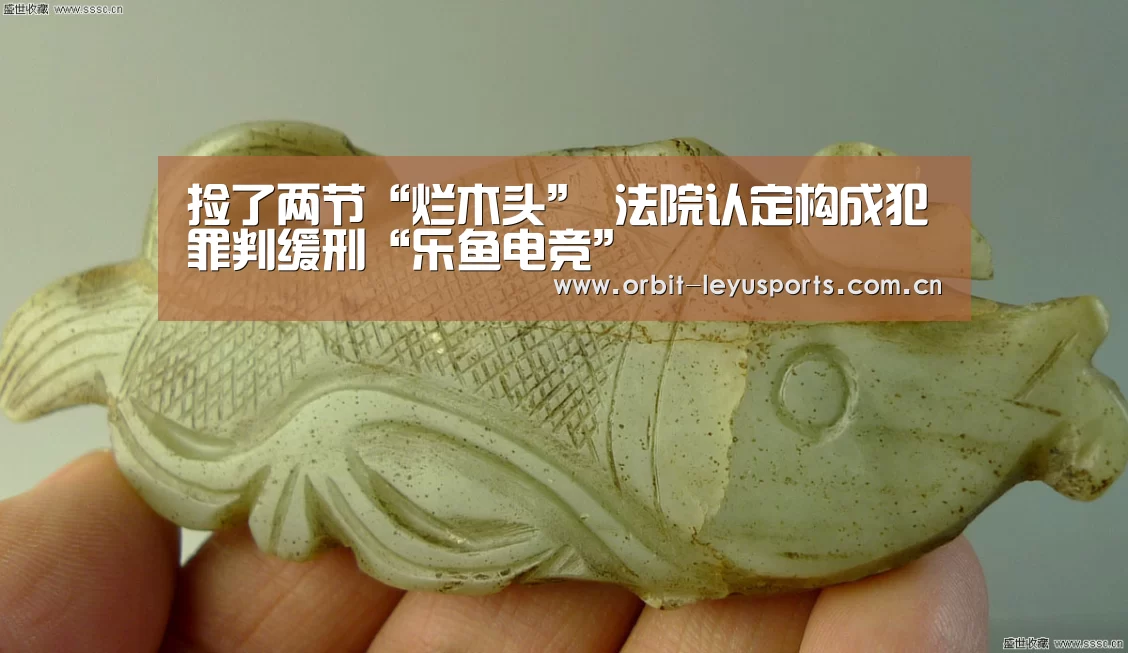 捡了两节“烂木头” 法院认定构成犯罪判缓刑“乐鱼电竞”(图1) 乐鱼app