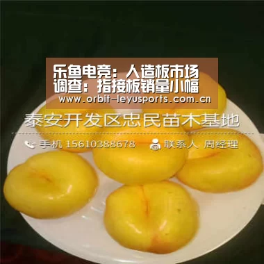 乐鱼电竞:人造板市场调查:指接板销量小幅上升(图2) 乐鱼app