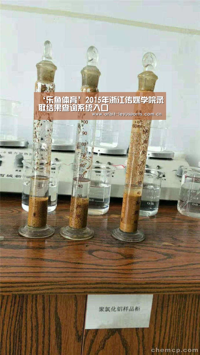‘乐鱼体育’2015年浙江传媒学院录取结果查询系统入口(图1) 乐鱼官网