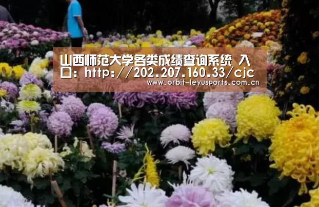 乐鱼体育