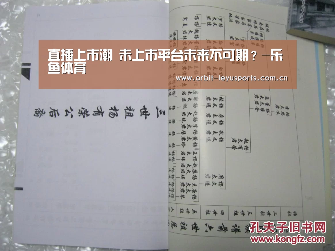 直播上市潮 未上市平台未来不可期？-乐鱼