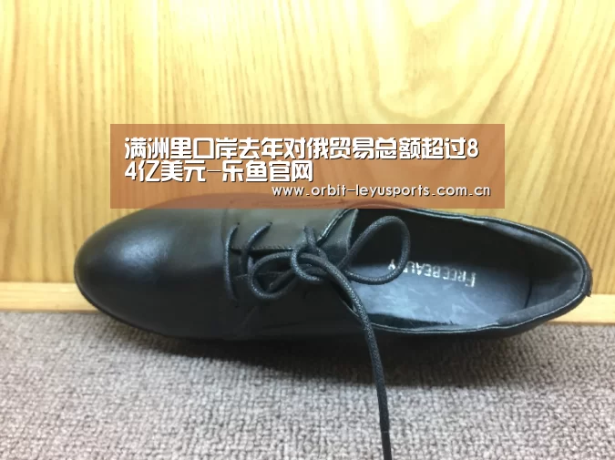 满洲里口岸去年对俄贸易总额超过84亿美元-乐鱼官网(图4) 乐鱼体育